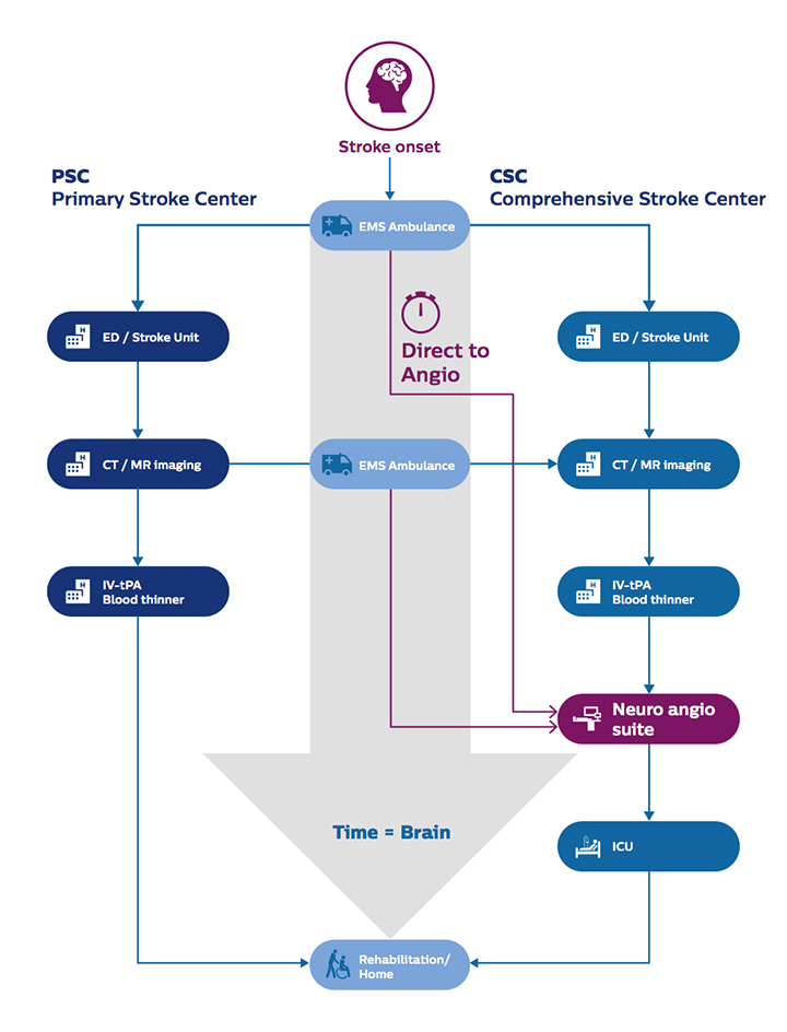 DTAS workflow